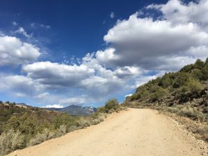 A road to somewhere outside of El Prado NM